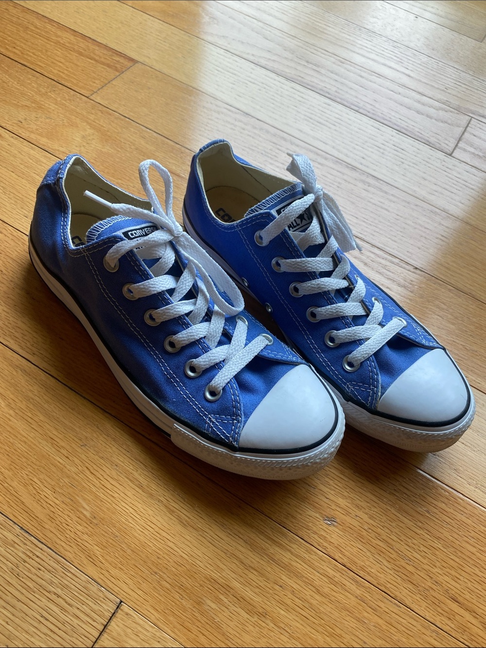 Converse Low-Top Canvas Sneakers in Royal Blue and White